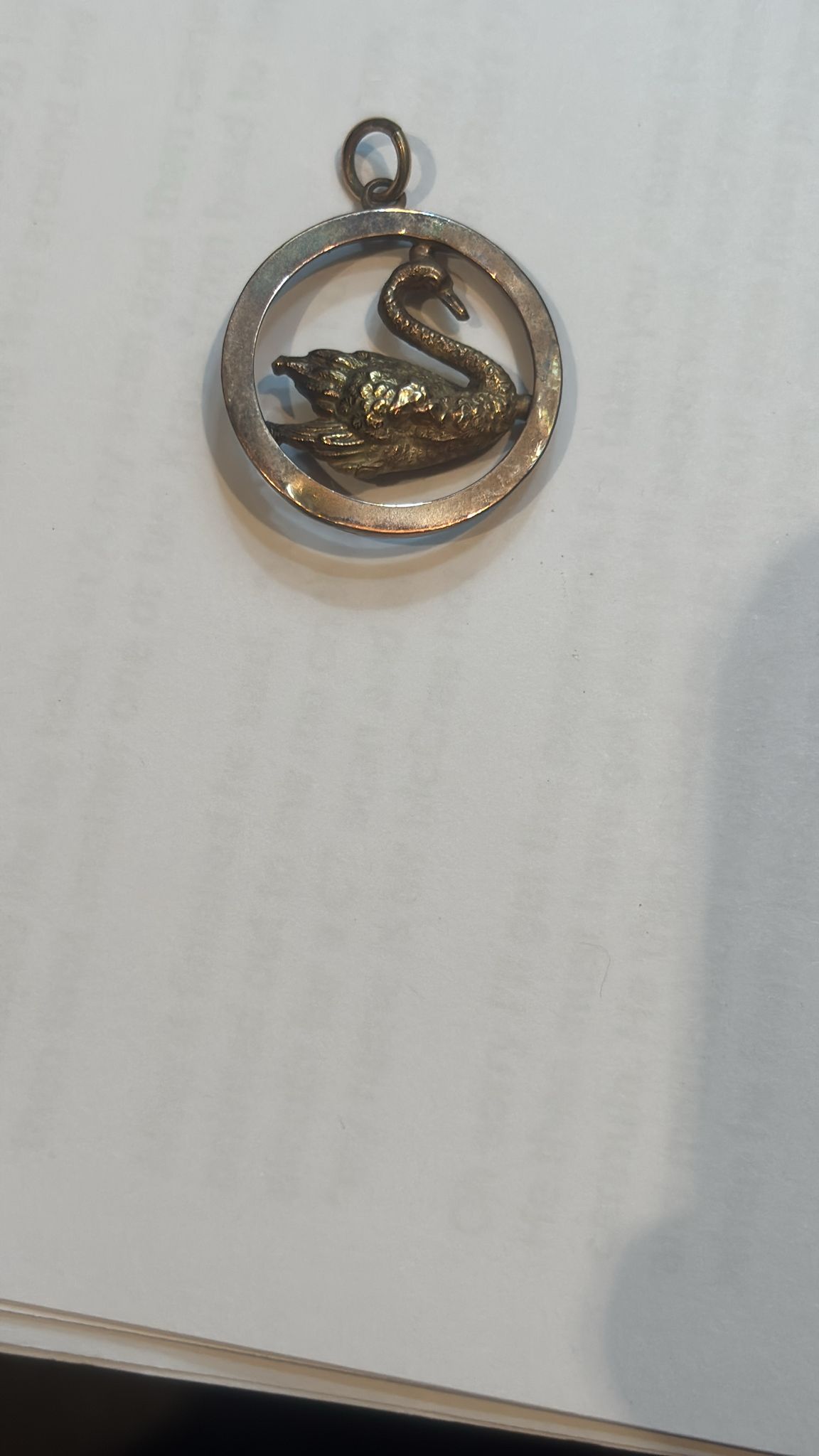The Swan in the Circle pendant — solid silver, rhodium plated, six symbols engraved around the edge